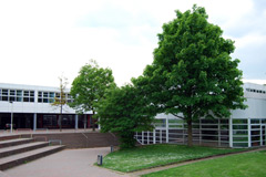 Gymnasium Vogelsang Kontaktdaten