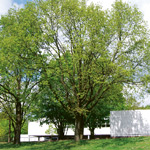 Anmeldeformular